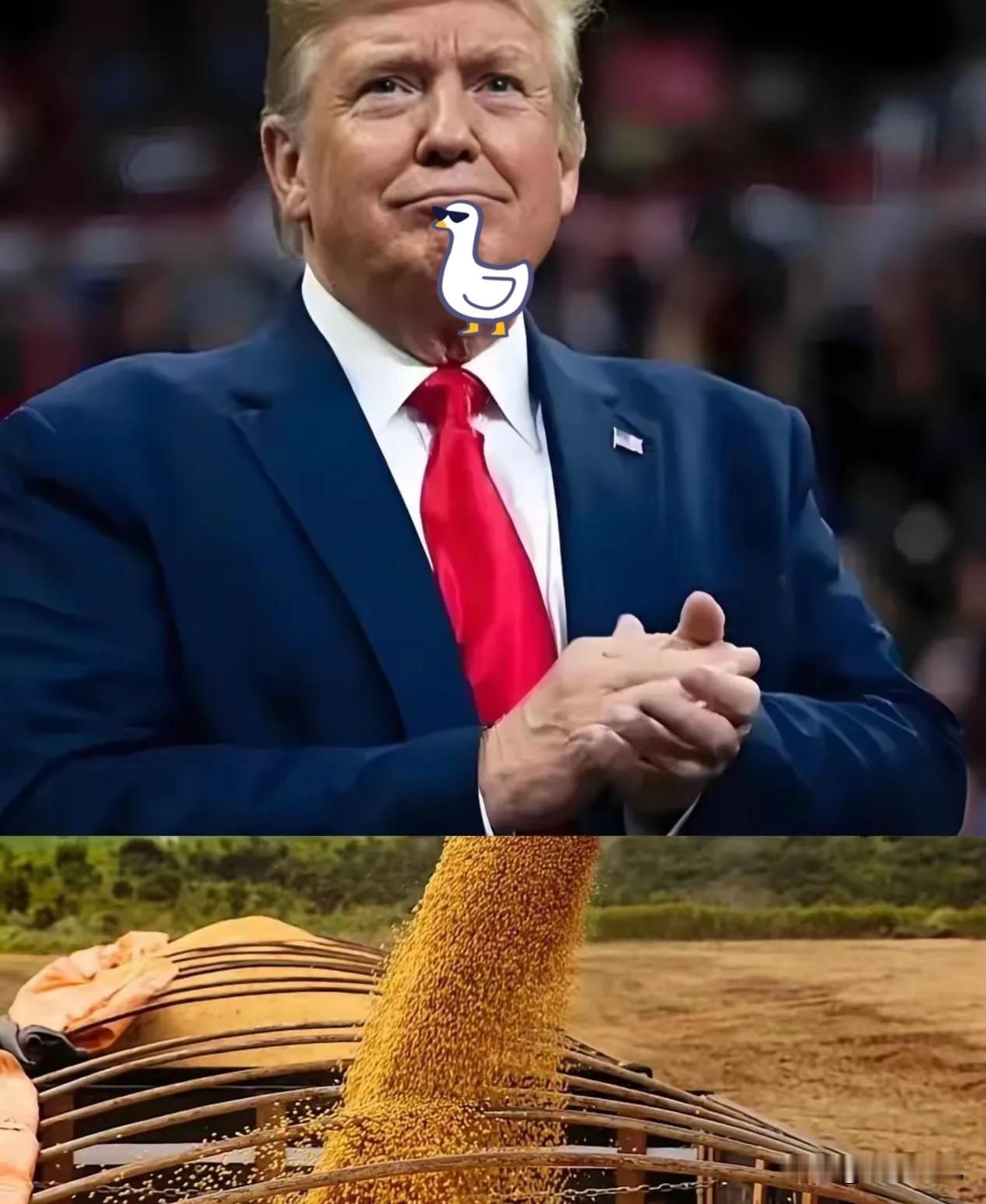 还是猜对了，
18万吨大豆刚交易成功，
特朗普就在社交媒体上发声称这与芬太尼关税