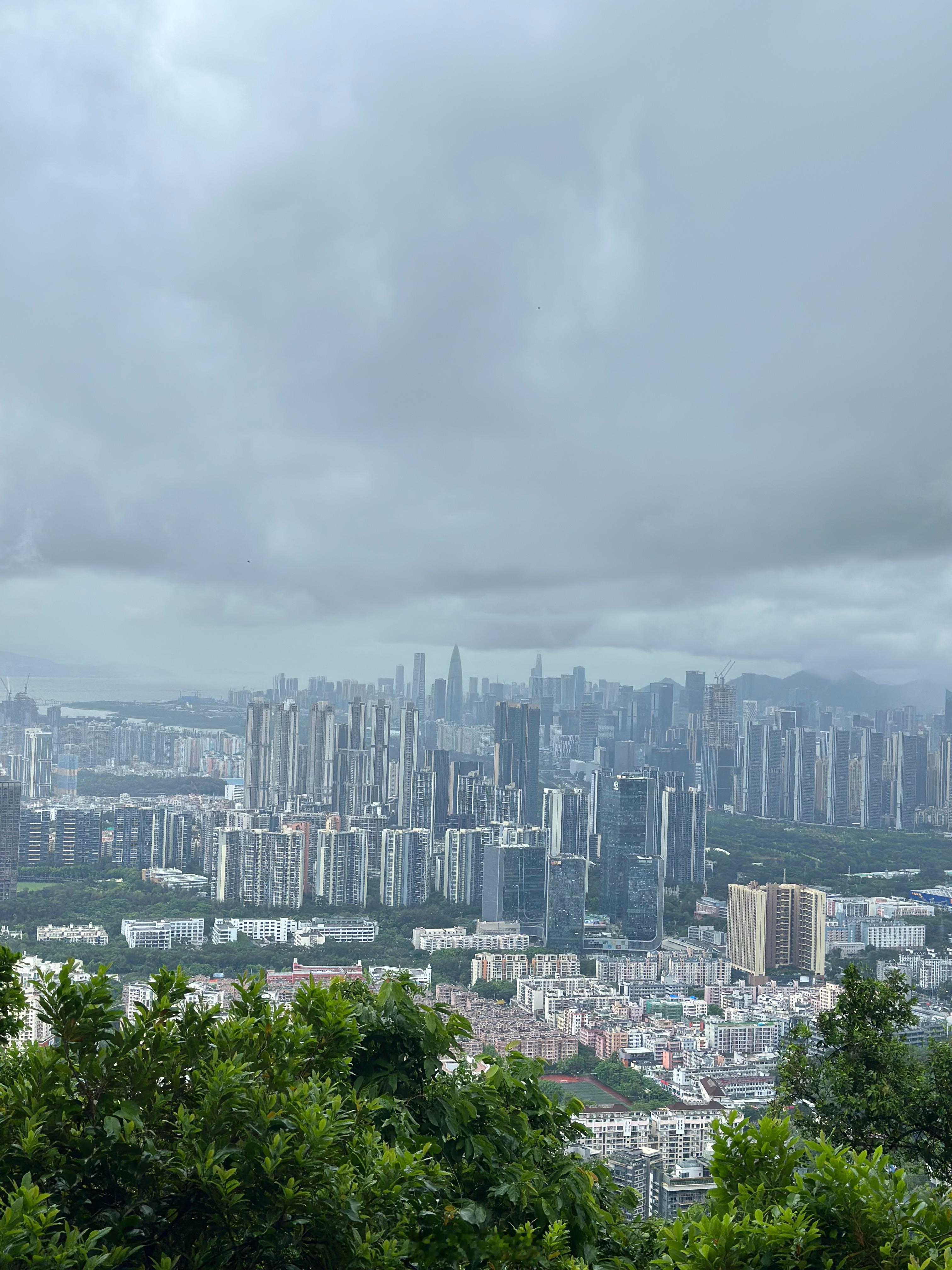 𝓜𝓸𝓻𝓷𝓲𝓷𝓰在薄薄晨雾、微微细雨中登个山很久没有这么早起了 深圳