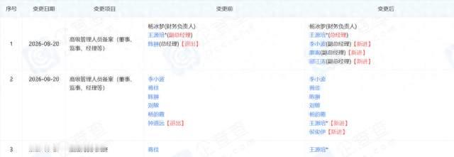 五粮液销售公司换帅：王源培一肩挑三职，把销售当成了总攻方向
