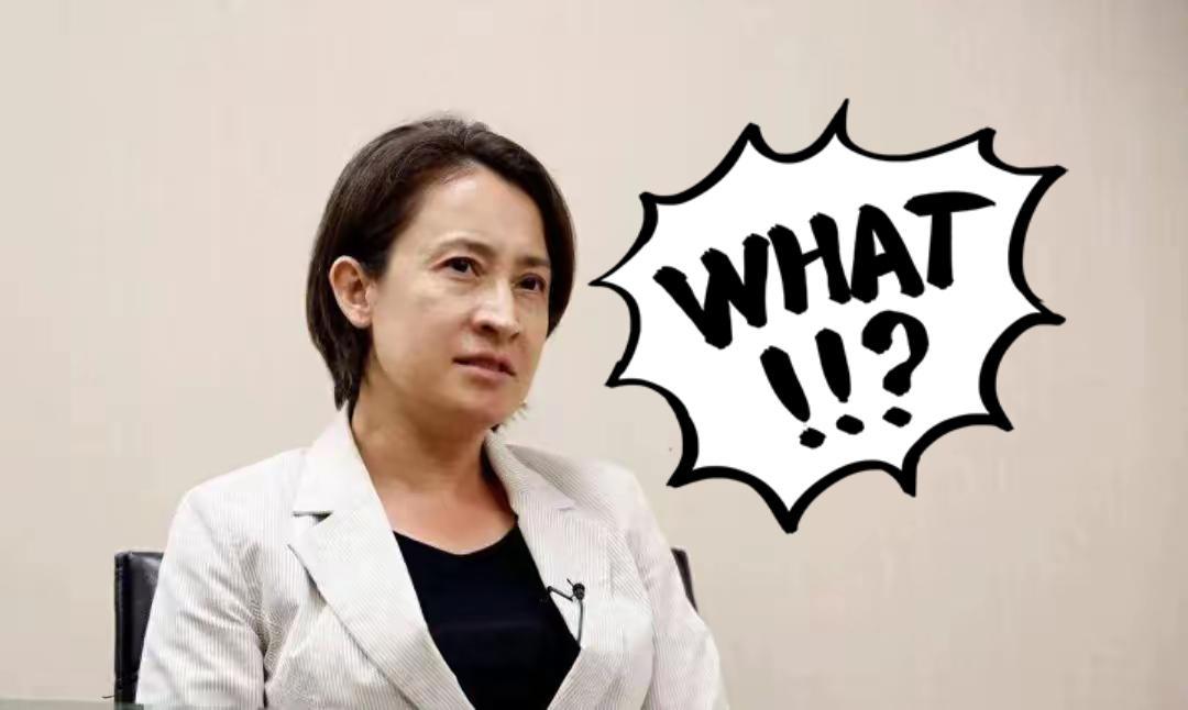 岛内媒体10月28日消息，萧美琴公开表示对岸把他们逼到了墙角，这种情况下会反击，