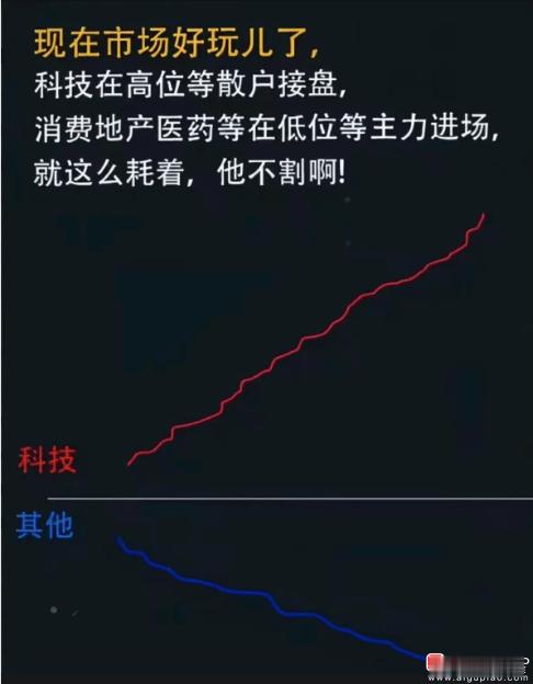 今天朋友问我，未来1年时间，是涨了5倍、10倍的小登继续涨1倍概率大？还是跌了6