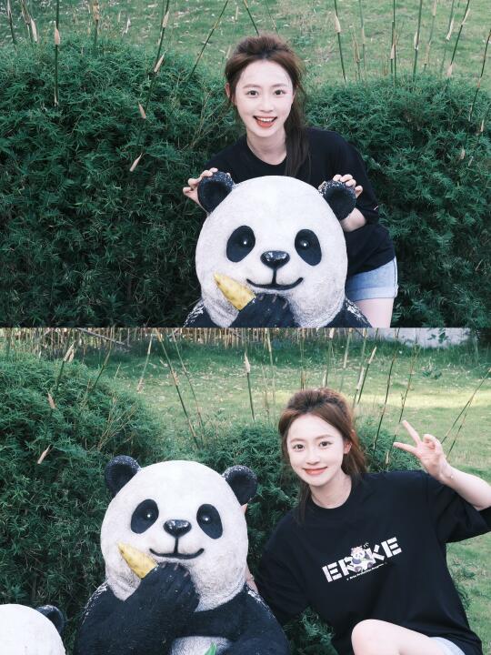 ᵕ̈ 🐼🐼 ᴾᴬᴺᴰᴬ ᵕ̈ 🎋