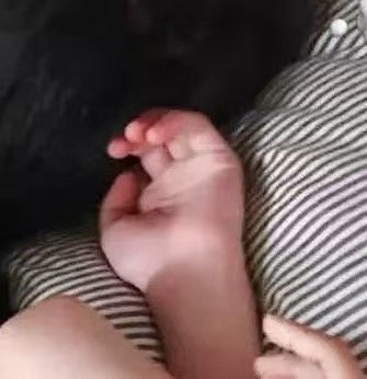 想捏猪猪的手 怎么办😖🥺朱志鑫
