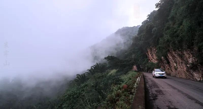 人类的好奇心能否征服哀牢山?哀牢山被誉为西南秘境禁区，密林遮天、浓雾锁山，地磁紊