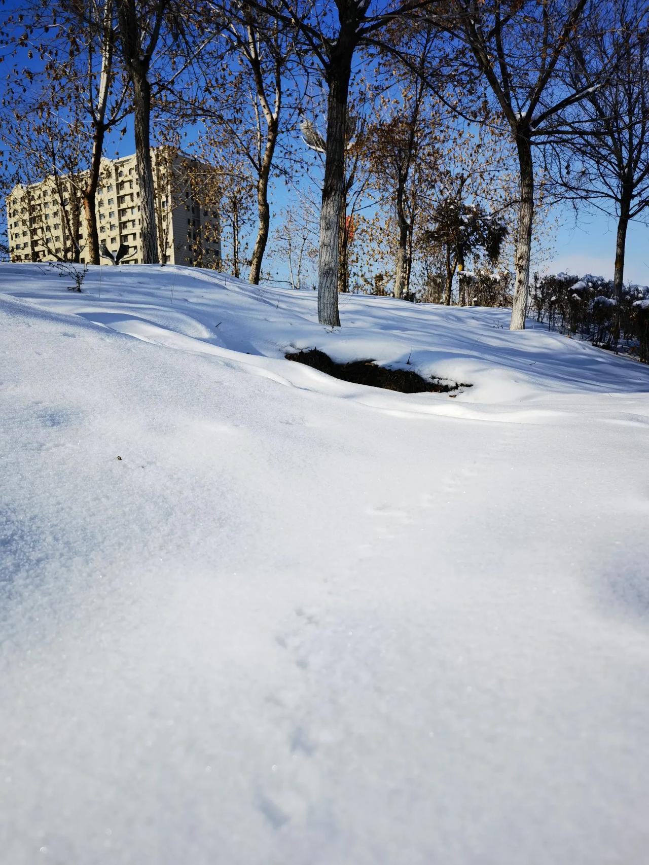 提到乌鲁木齐市，你会想到什么首先想到的是“雪”。如今的雪，已经成了乌鲁木齐冬日最
