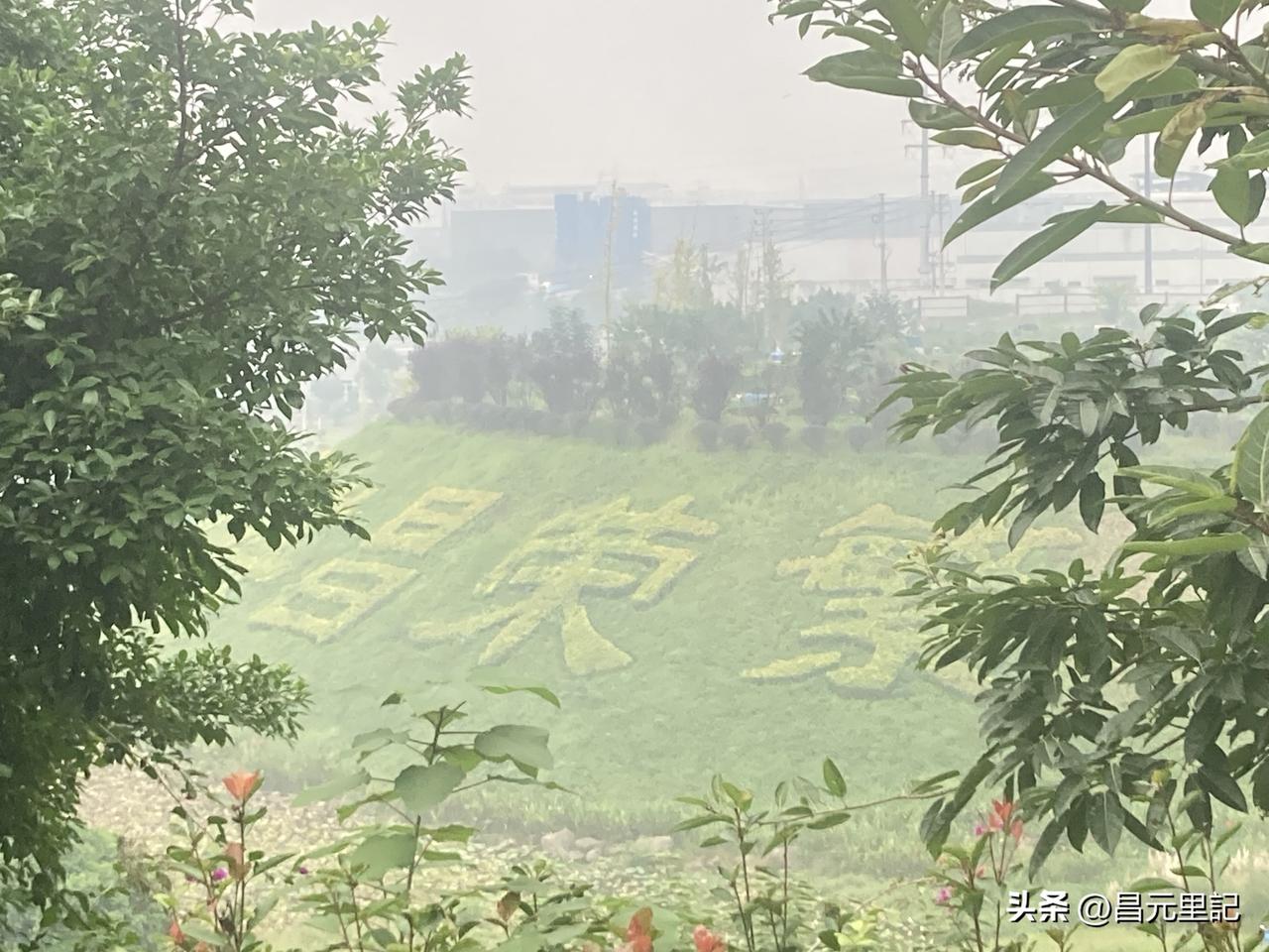 其實姓氏最本質的區別是一個承其表一個承其里。源于血源承其姓，源於族親承其表。客觀