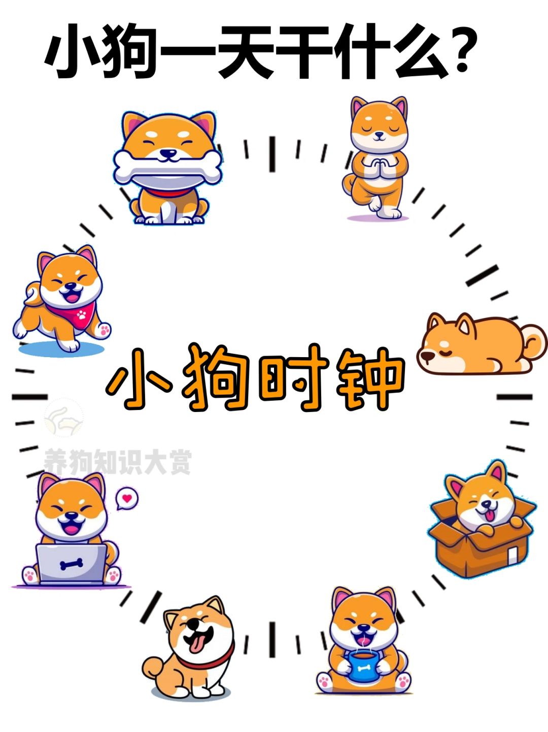 小狗自己在家，都会干什么呢？