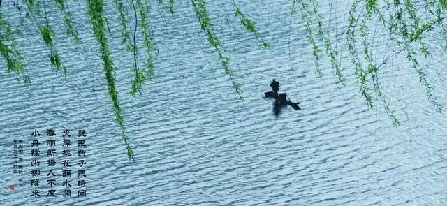 玉楼春

作者：高观国

春烟澹澹生春水。曾记芳洲兰棹舣。岸花香到舞衣边，汀草色