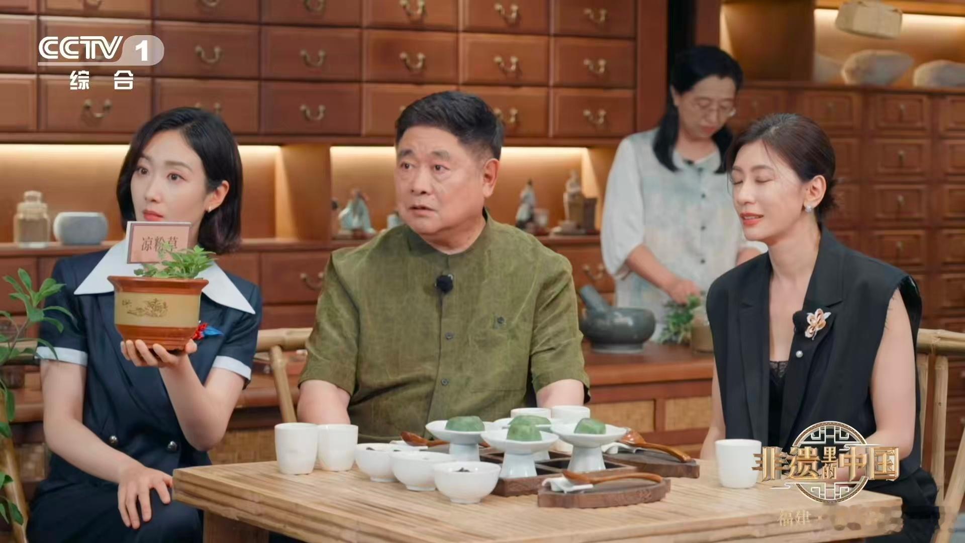 在闽南随手就可能采到草药 闽南人的草药基因是刻在骨子里的！看见艾草想的是祛湿药膳