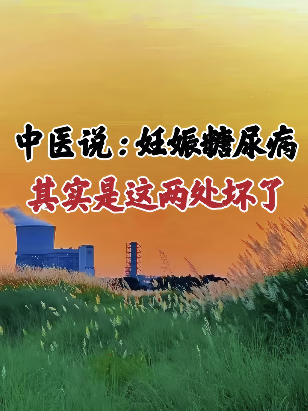 养生多年发现，妊糖高的孕妈妈都有一个共性
