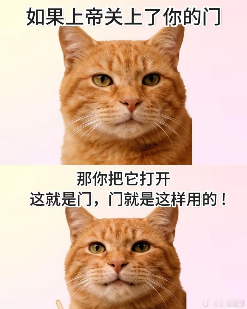 有这种创业心态做什么都会成功 记得与自己和解，适时调整目标，创业路上要有灵活的心