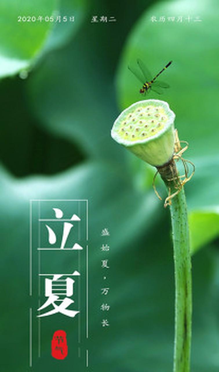 蝶恋花·立夏
 
饯罢残春逢夏始。
绿暗平芜，风软晴光里。
新荷乍展清塘水，垂杨