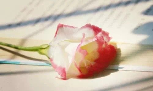 心，就两种最有感觉的用法，要么就碎掉，要么就完整。————《半山文集》 ​ ​​