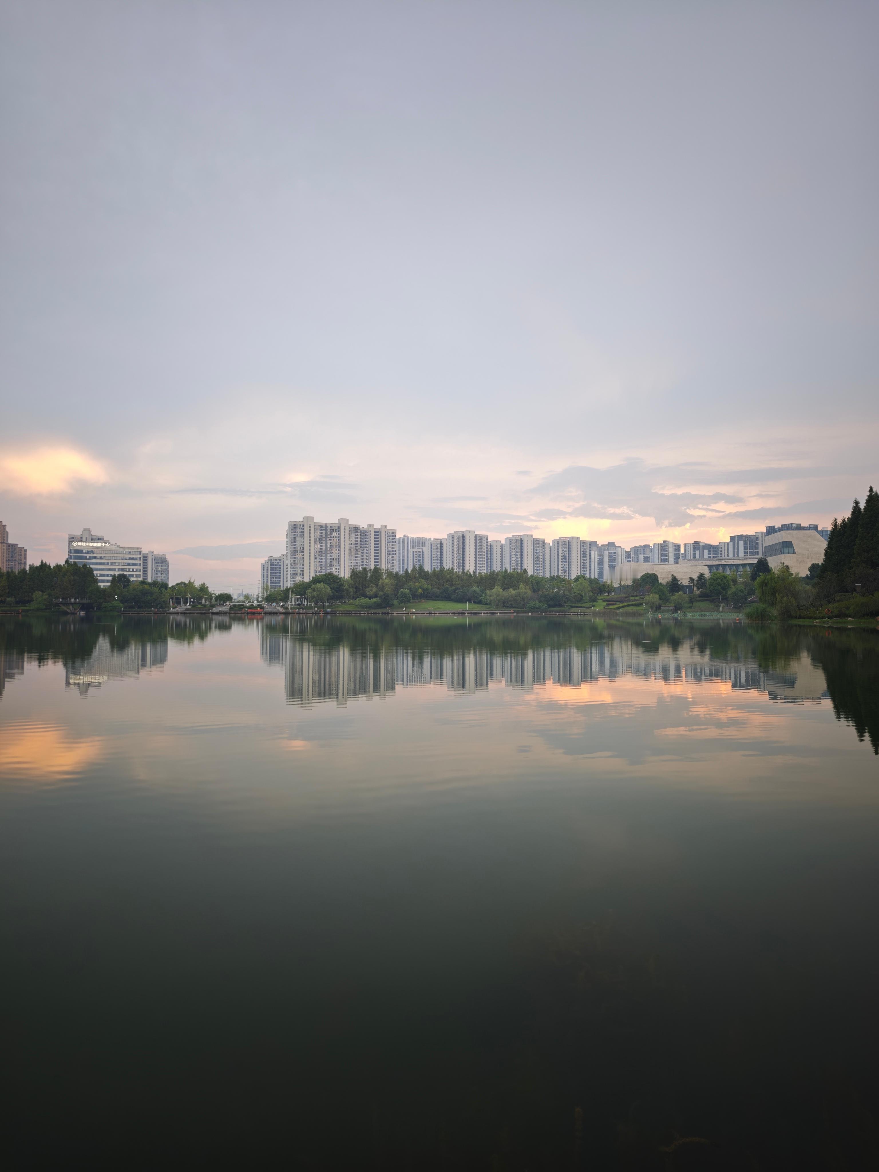 雨后捞了点小鱼小虾回来