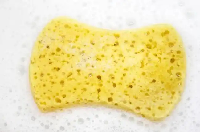 【最信任的清洁工具可能是细菌发源地】洗碗海绵到底能有多脏 你觉得你家最容易滋生微