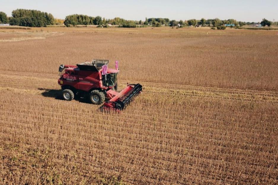 震动全球粮市！中美大豆贸易重启，8700万吨大单重塑供应链格局
 
12月17日