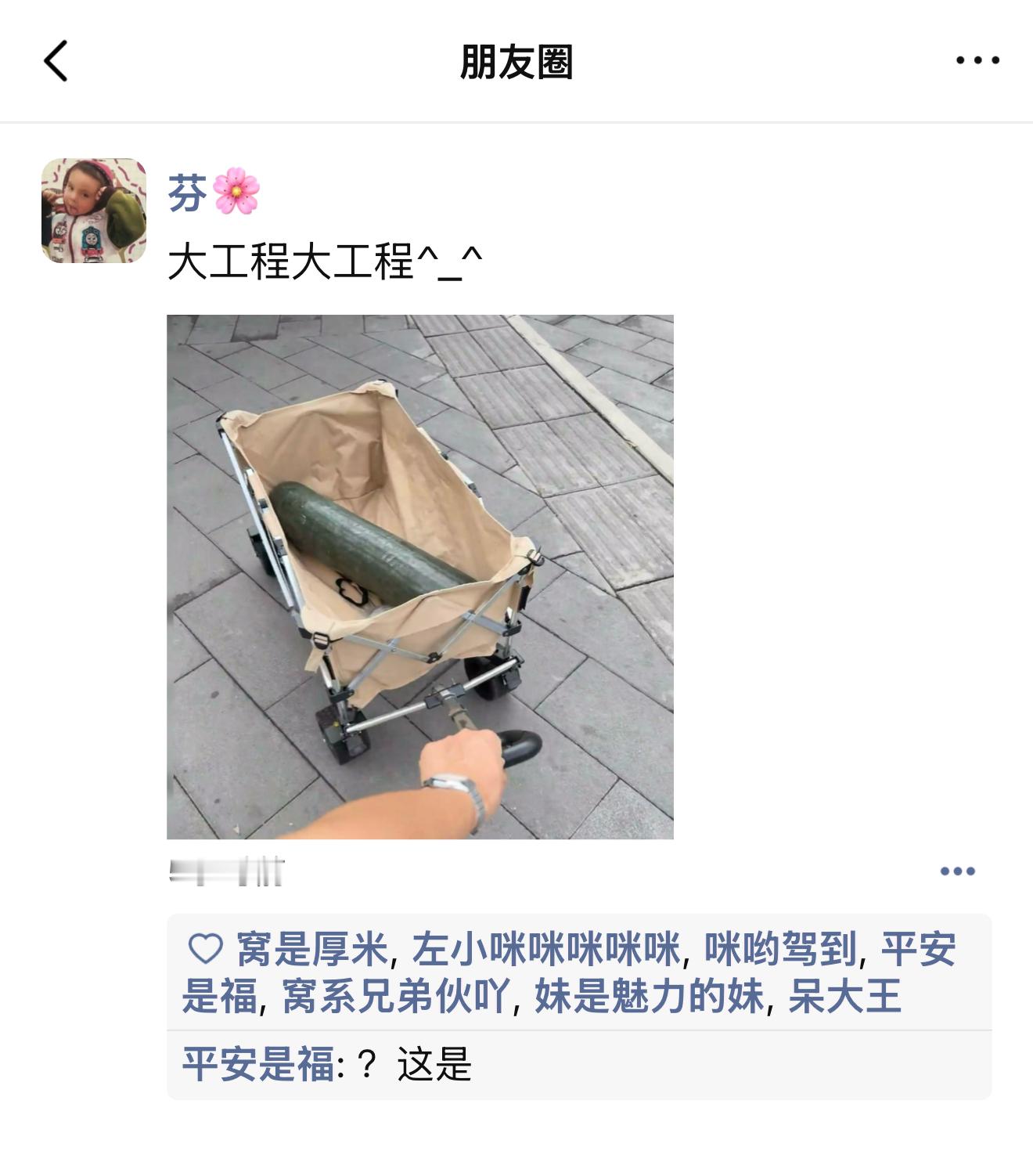 老辈子就是惯侍娃儿得很。别的小猫有的冬瓜他也要有· Prada品牌大使左航· 左