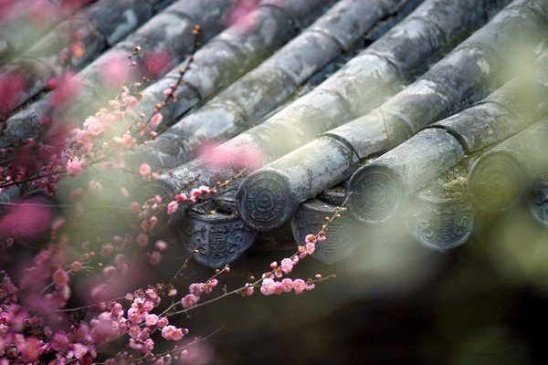 岁月辗转成歌，时光流逝如花纵使锦瑟年华，终成指间流沙滑落无痕一任风雪尘埃，一任年