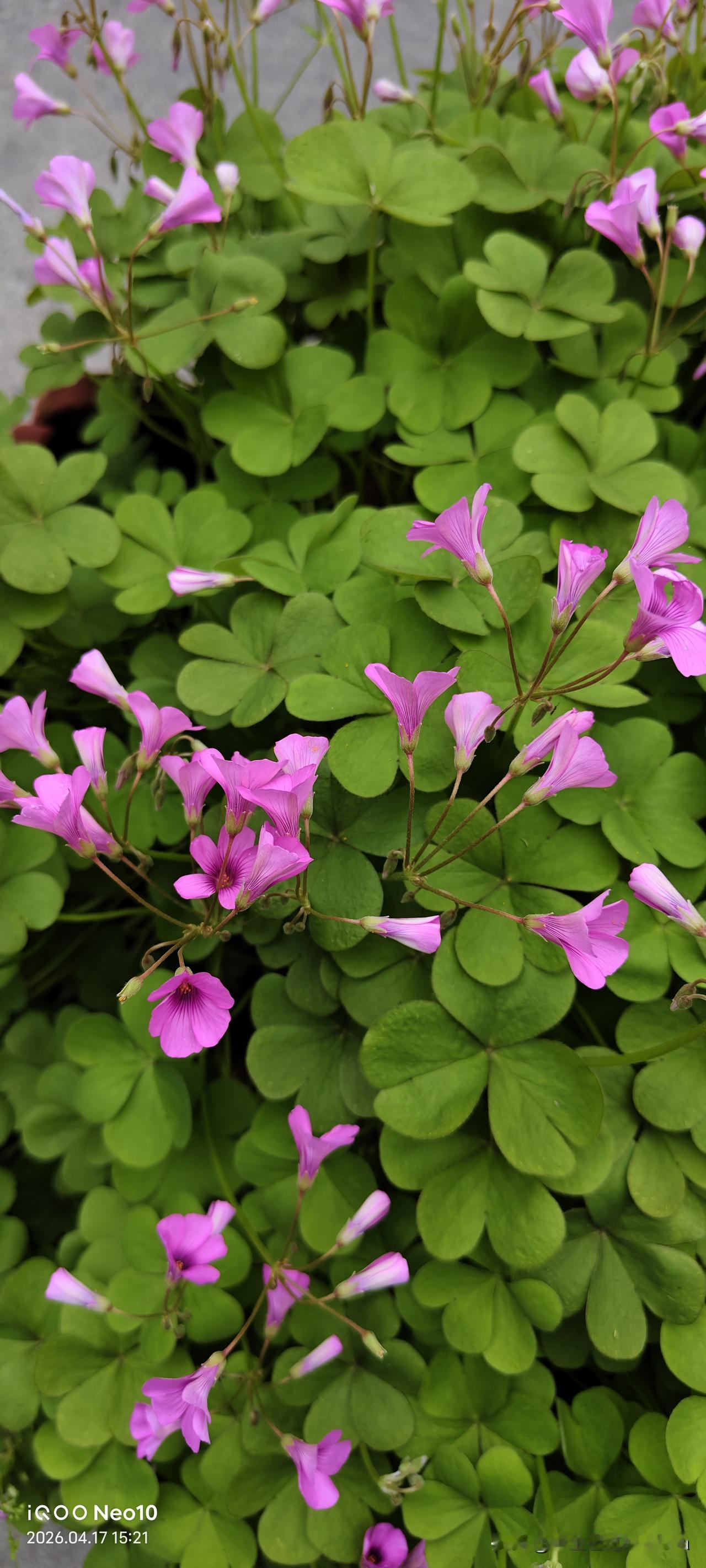 隔壁护工房间的22床老太太，只要有新来的护工，她就会搞事情，指使护工干这干那的。