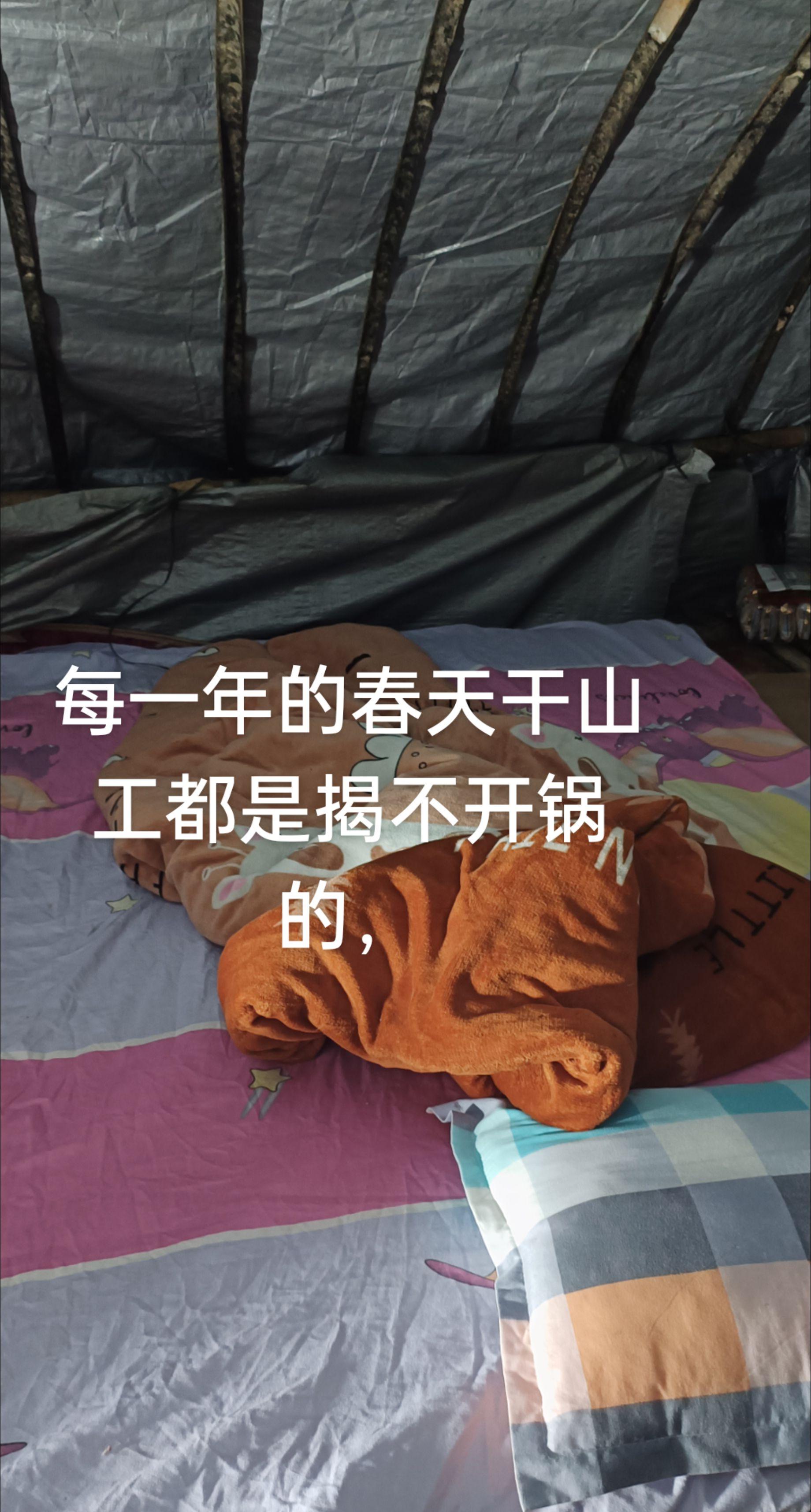 每一年的春天干山工都是揭不开锅的，本来想好好来山上当牛马，结果计划赶不...