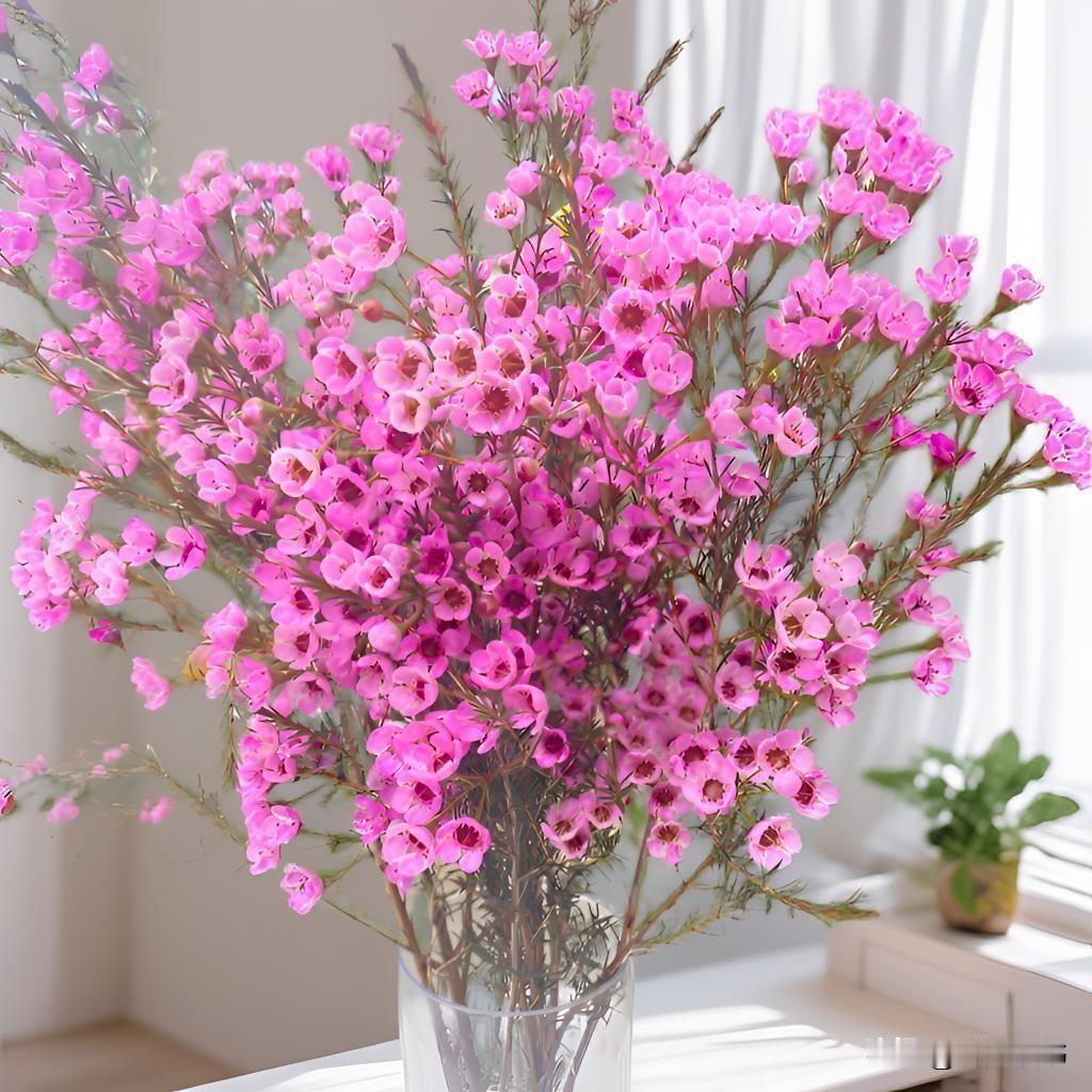 夸人，其实是在旺自己
 
咱平时总爱说“贵人运”“福气旺不旺”，可殊不知，福气和