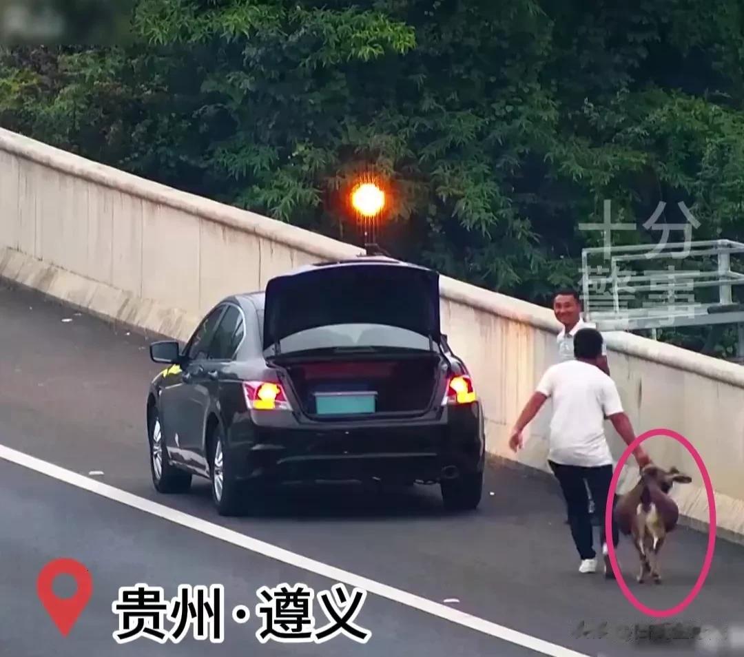 以为是“顺手牵羊”，结局却出乎想象。

在遵义，一名轿车司机行驶在高速公路上，嘿