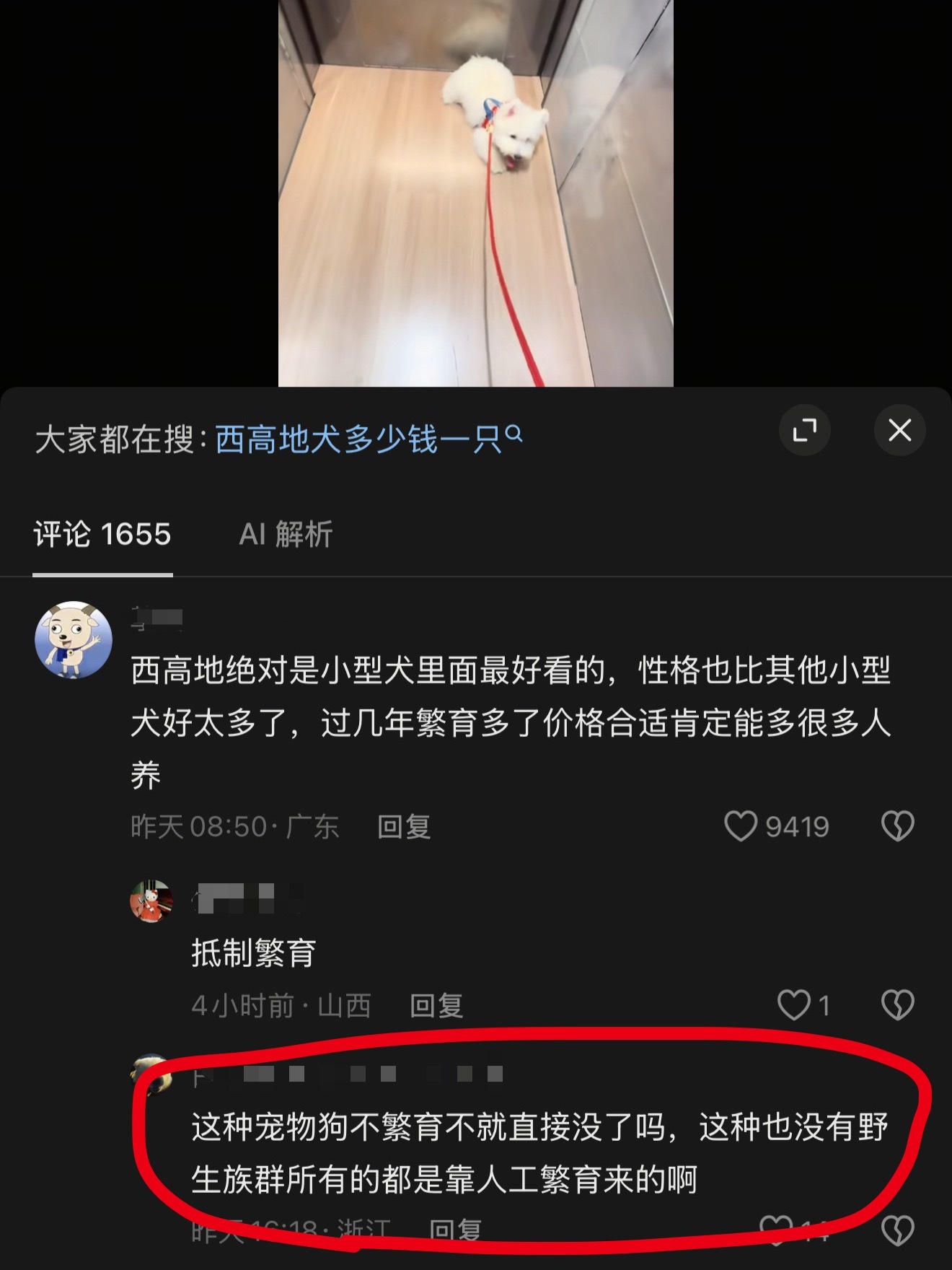 自己都说了是人工培育的品种没了就没了有什么问题吗，难道狗跟你一样还有延续香火的任