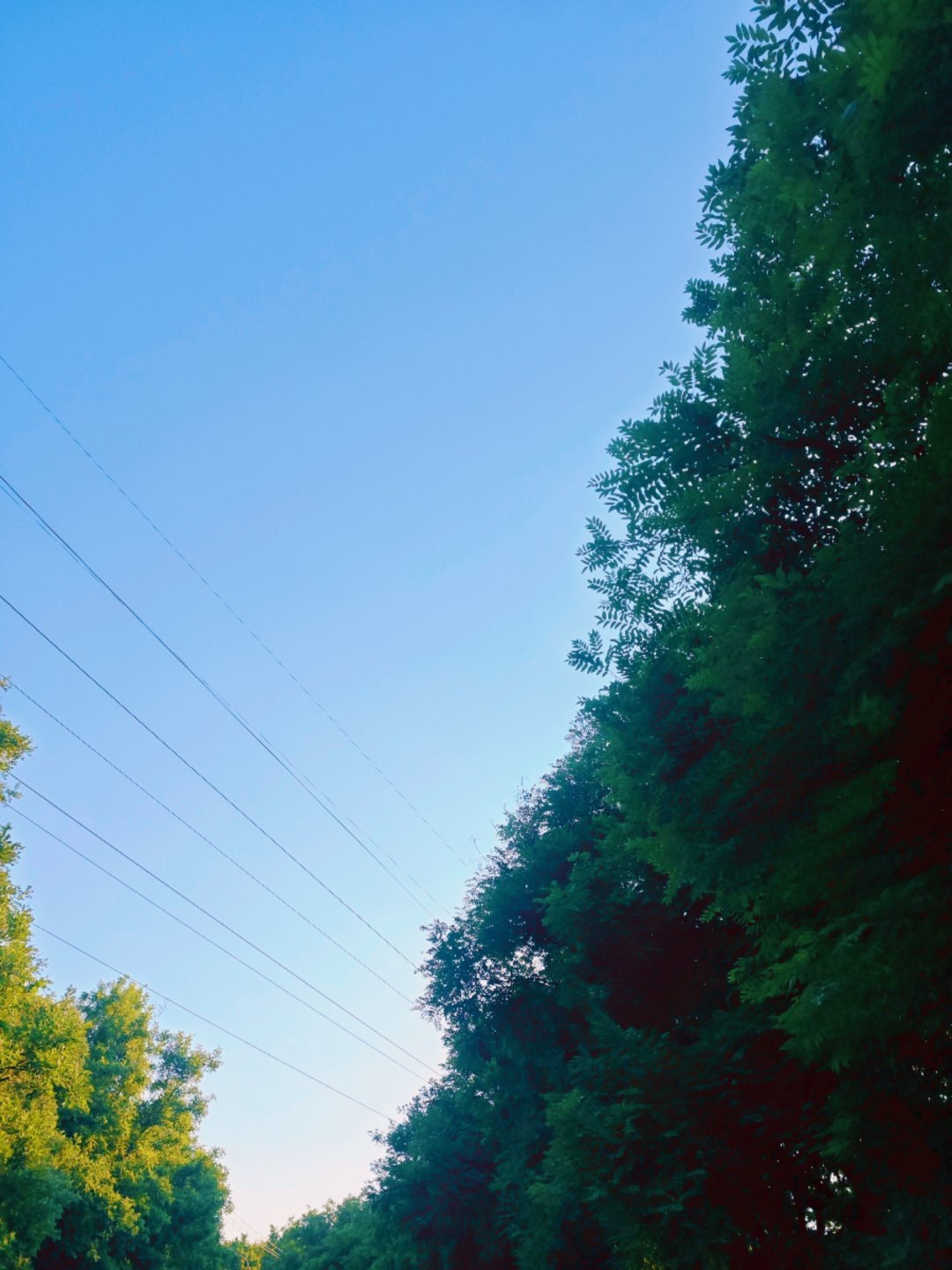 CV路扬君 出门的时候大暴雨，上车我还在想今天晚霞一定巨好看，云彩特别多，到棚里