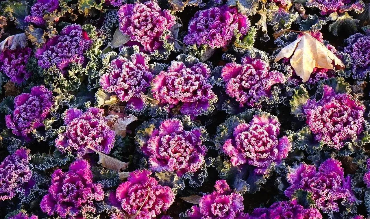 咱们每个人，每天都在做选择，这些点点滴滴的小事，其实正悄悄塑造着我们的未来。别老