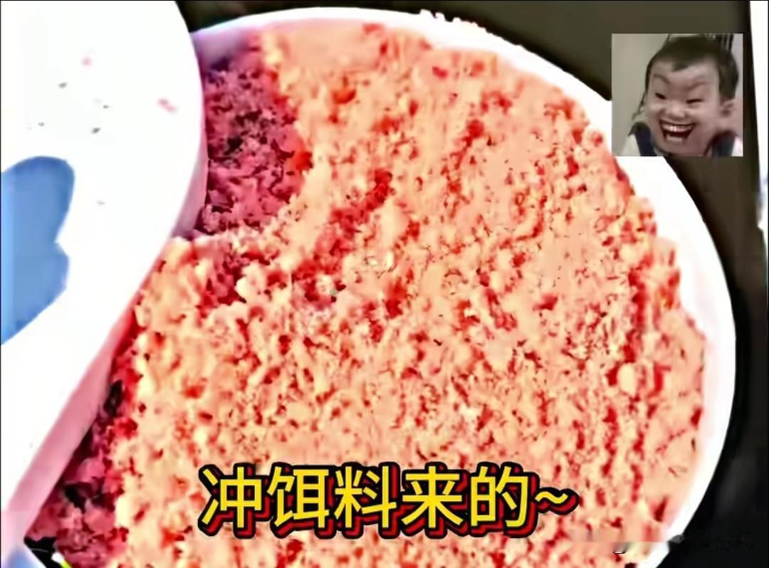 钓鱼佬钓不上鱼就算了，鱼儿还主动凑过来蹭吃，给大哥气笑了。
 
钓鱼大哥守了半天