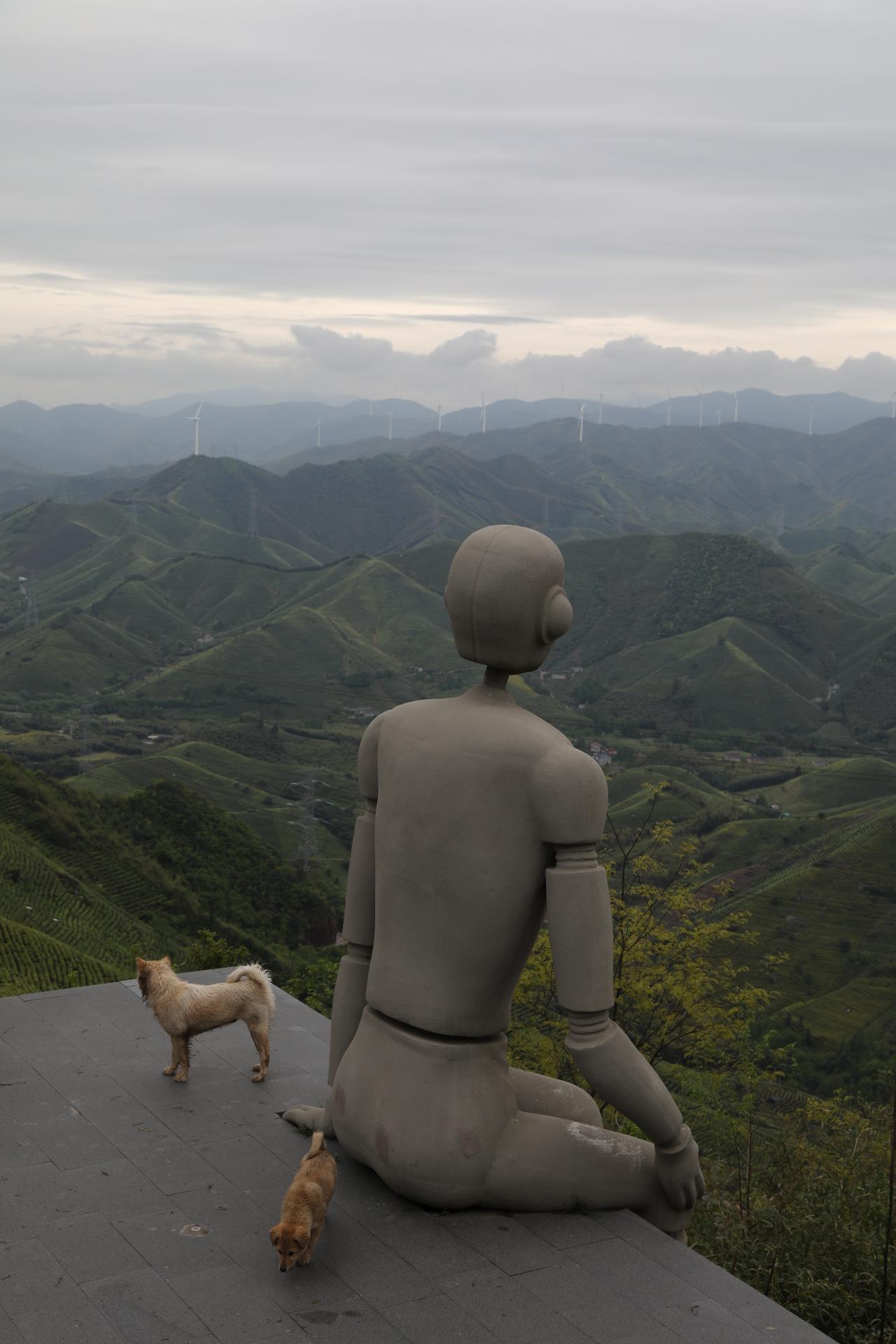 晒图笔记大赛湖州霞幕山日落公园——只有咖啡，没有落日同样很治愈！