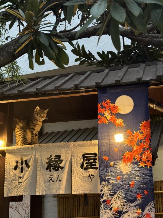 不敢相信花都有和服👘拍照