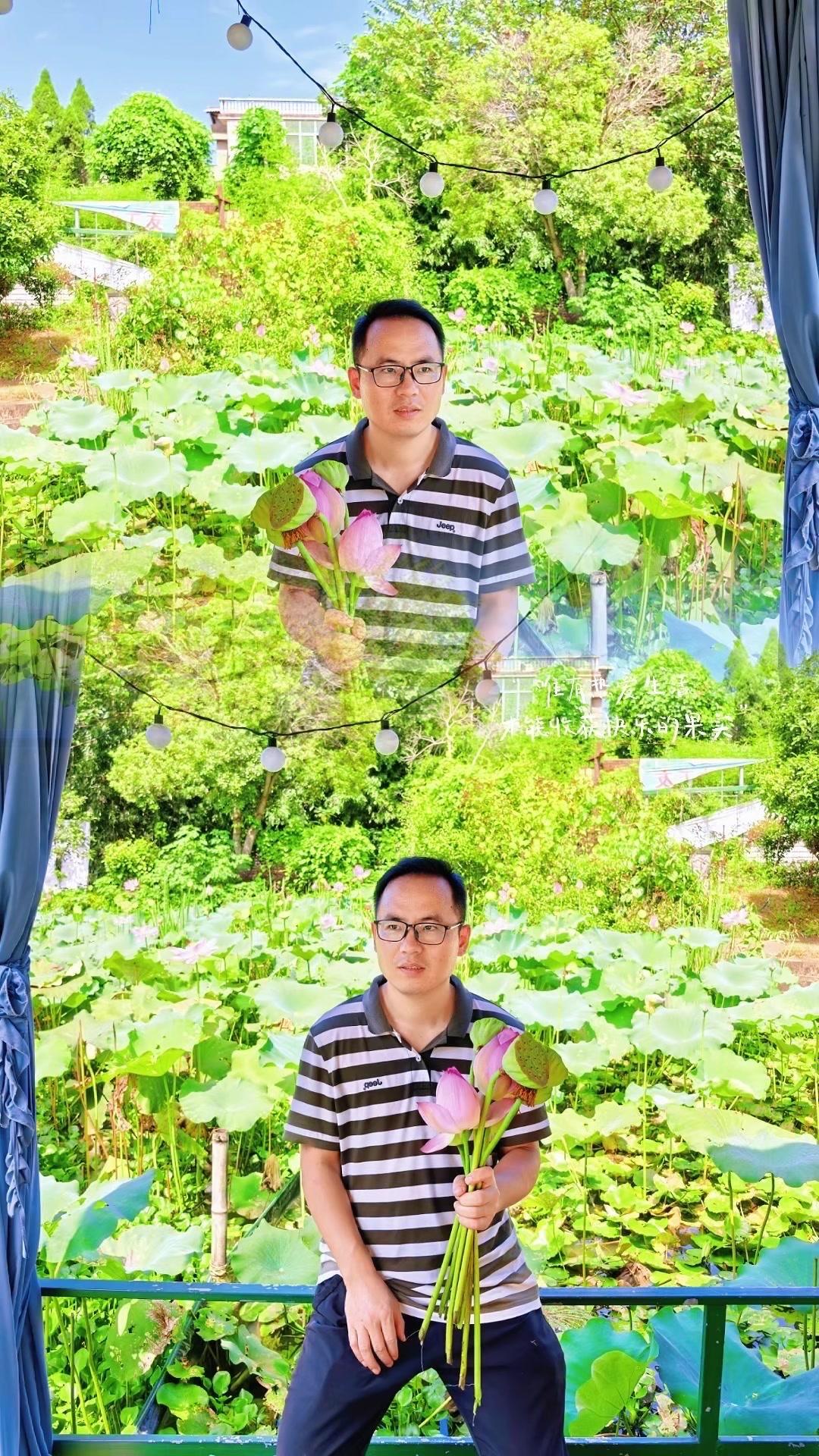 🌞今天湘阴热得人发晕，躲在柳树荫里乘凉，转个弯就撞见锦逸山庄的连片红荷花，开得
