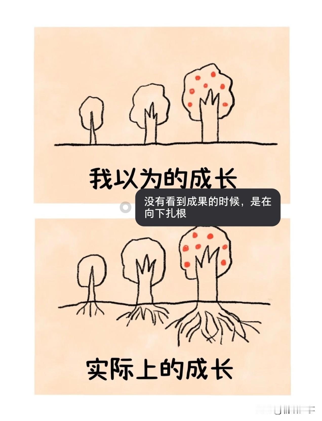 成长不是一蹴而就的
没被看见的日子
都是在向下扎根，根扎得深，
才能长的好，长的