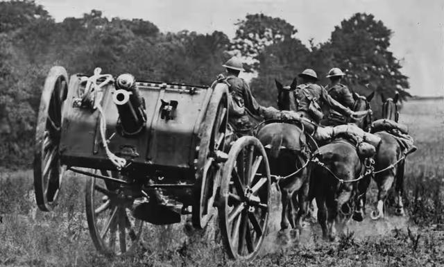 农业国连骡马化都完成不了，因为军官和士兵要骑乘肩高1米5以上的良种战马，后勤和炮