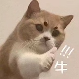 椰藕藕爱聊体育