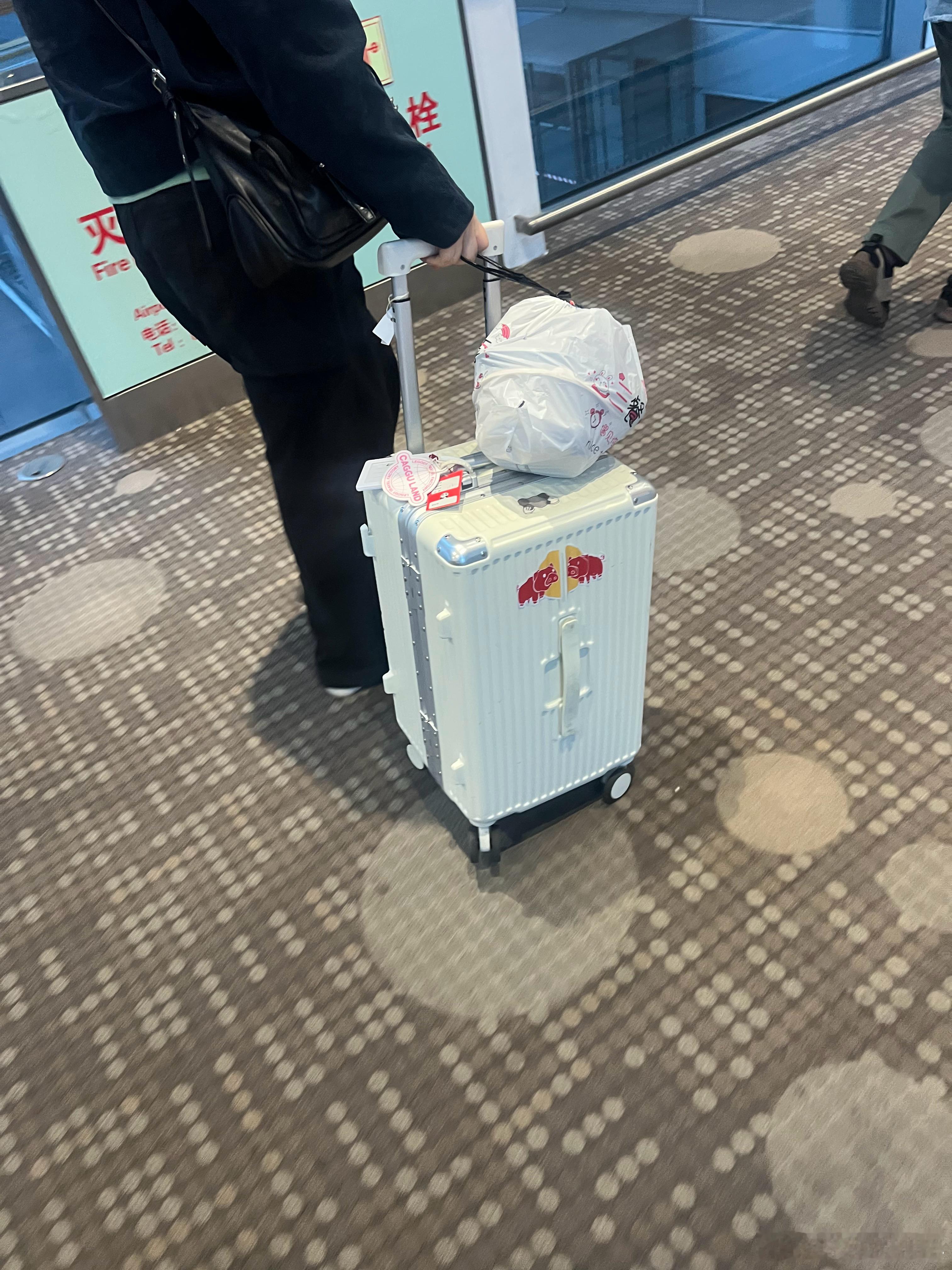 女士您好，请问这么酷的行李箱贴纸是在哪里领的