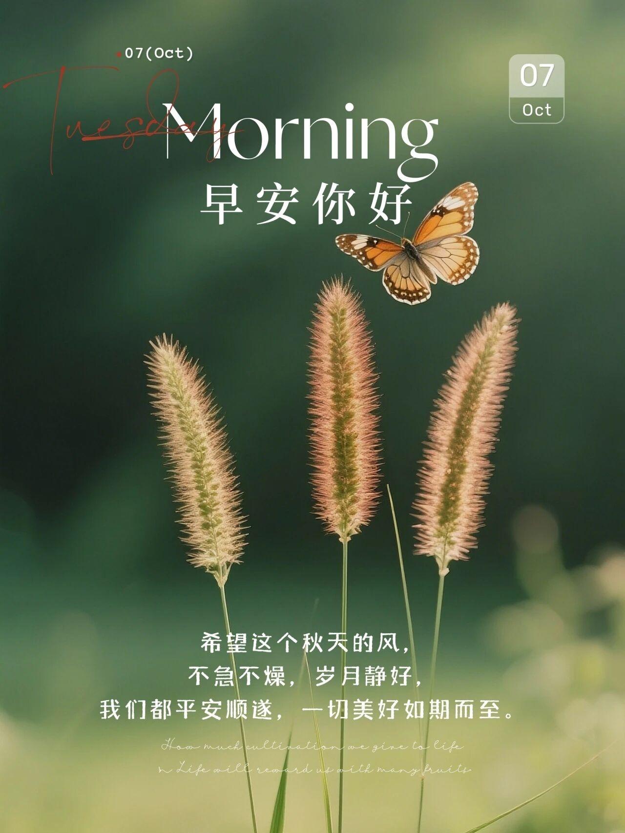 秋风起，雁南飞，思念也悄悄发芽。
柴米油盐酱醋茶，件件都是烟火幸福。
得七分智慧