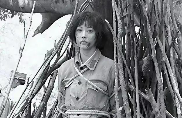 1950 年，我军在甘肃 逮捕一女匪首，竟是失散 14 年的红军排长。当战士们将