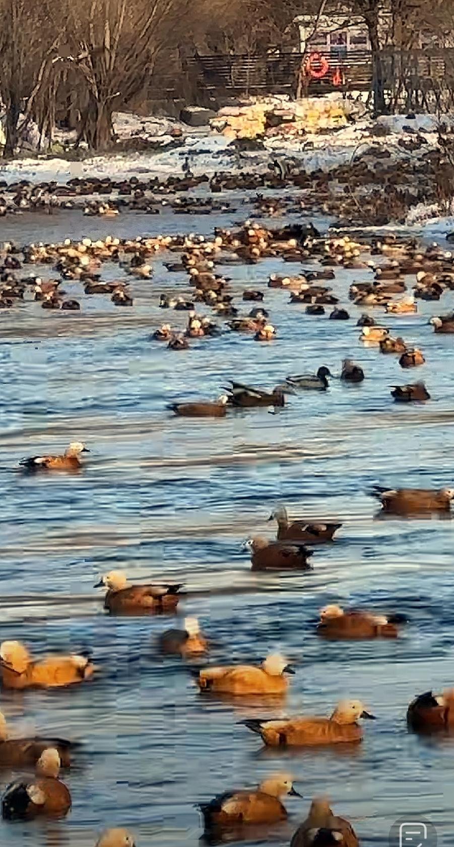分享一张自然风景的照片，随手拍～