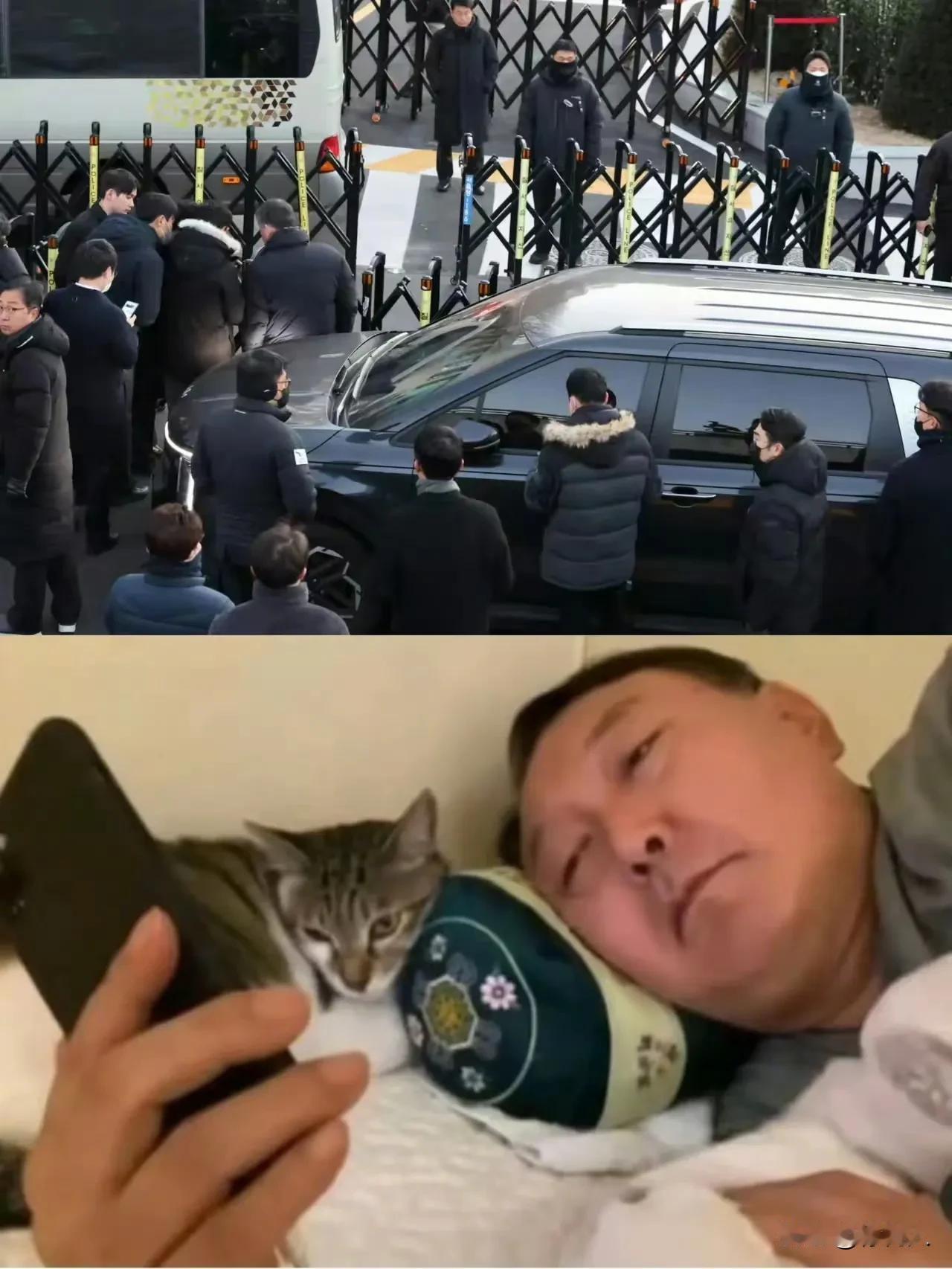 无孩爱猫男尹锡悦，躺在床上看直播逮捕尹锡悦[捂脸]