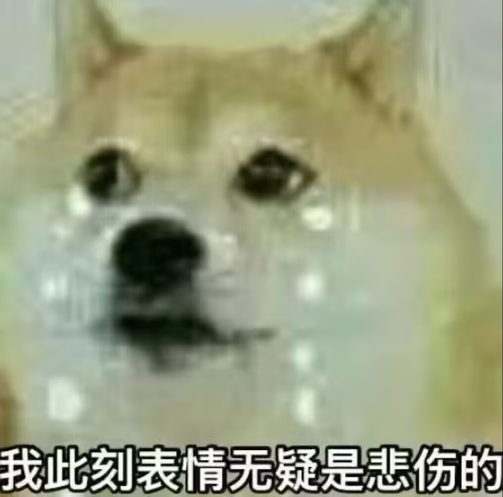 好累好累 