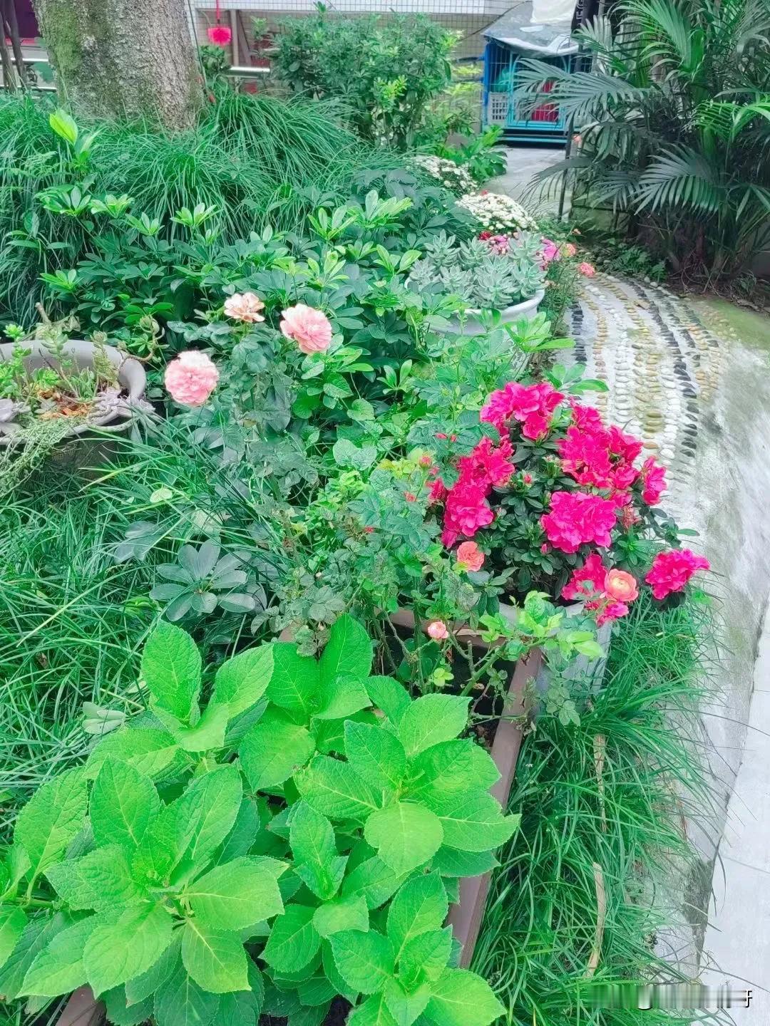 以下是一些快速入睡的小妙招：

一、调整生活习惯

1. 规律作息：每天尽量在相