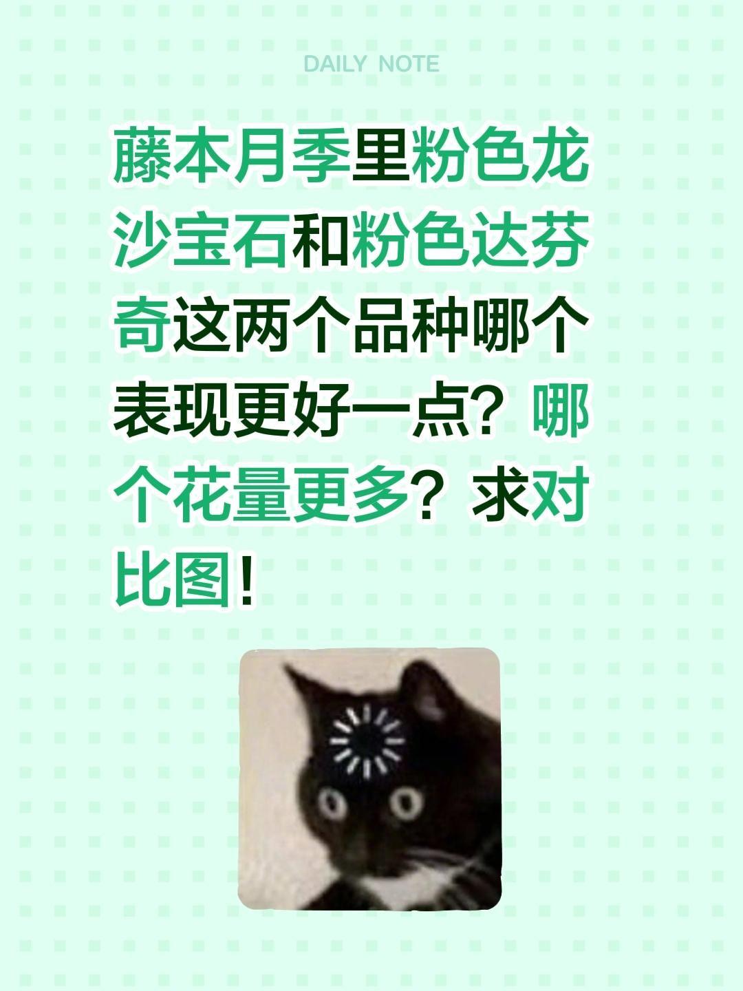 粉色达芬奇和粉色龙沙宝石哪个好看？藤本月季里粉色龙沙宝石和粉色达芬奇这两个品种哪