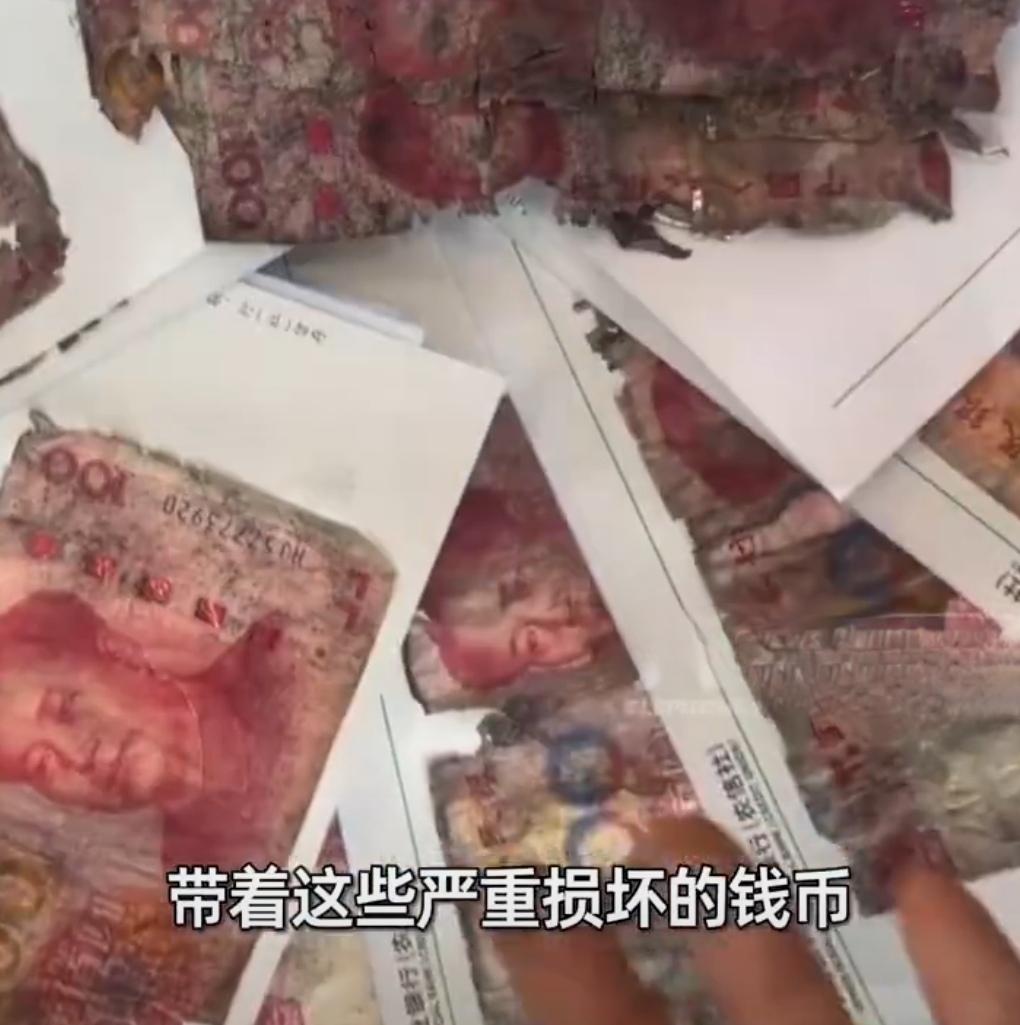 近日，河南信阳一位老人遇到了一件糟心事。把近2万元现金用塑料袋包着，埋在了地下，