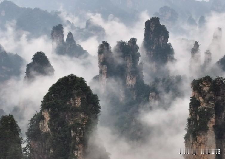 原来张家界景点被卖了，但年年巨额亏损？和国企被外内资证券控股，高管上亿年薪，却年