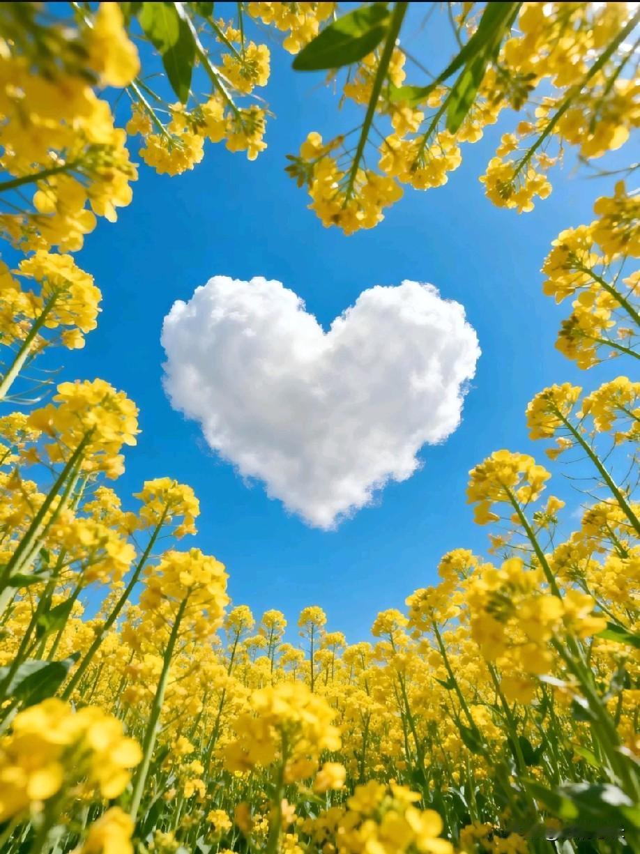 班主任这段话，让人醍醐灌顶：
见不得别人好，
别人未必不好，
但你肯定不好，
因