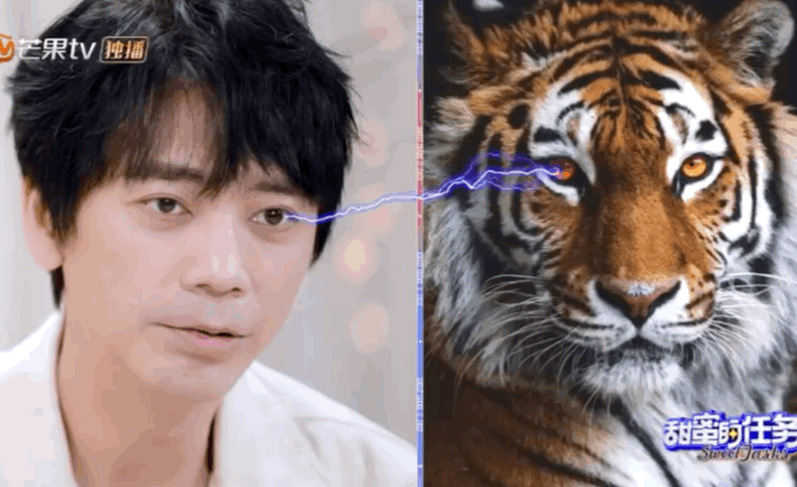 #苏见信去动物园慧眼识虎# 没想到苏见信居然如此搞笑！老虎怎么能是美洲豹呢？咱就