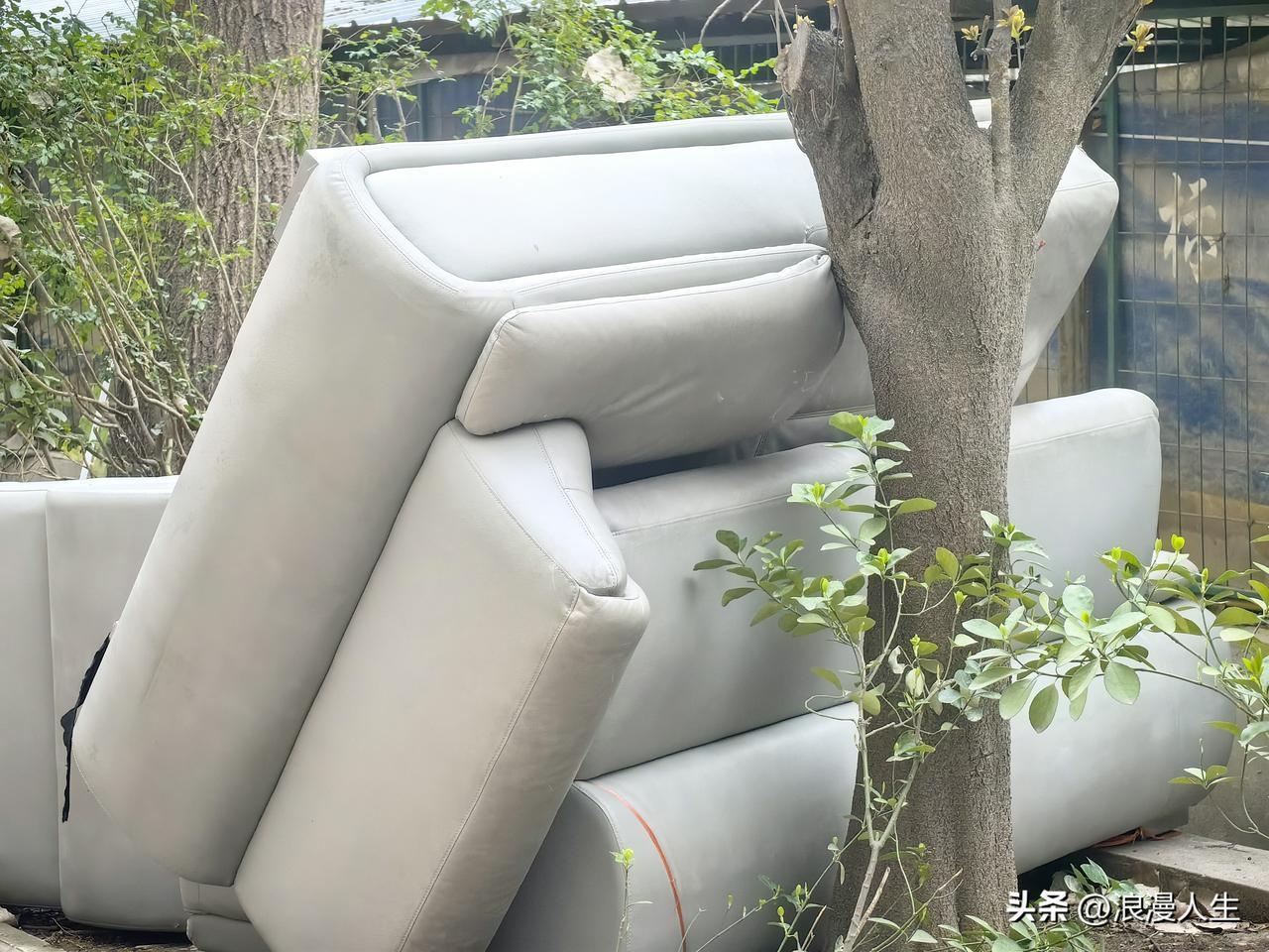 皮沙发扔到绿化带已经一个多月了，现在人就是浪费大。
看起来外观好好的皮沙发扔绿化
