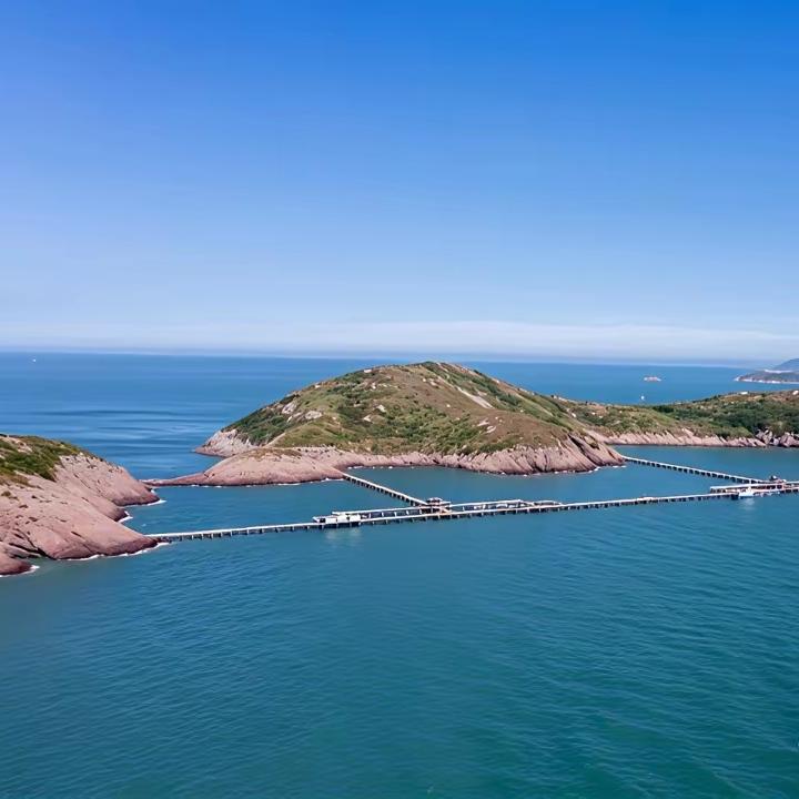 人最可怕的不是摔倒，
是那股心气，
彻底没了。
 
         很多人看上